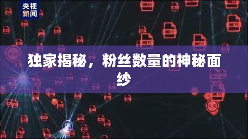 獨(dú)家揭秘，粉絲數(shù)量的神秘面紗