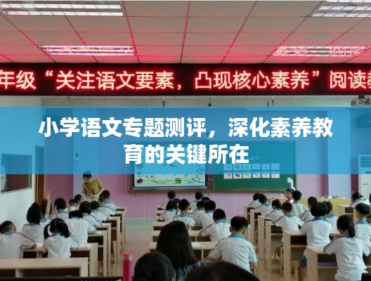 小學(xué)語(yǔ)文專(zhuān)題測(cè)評(píng)，深化素養(yǎng)教育的關(guān)鍵所在