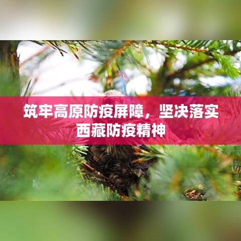 筑牢高原防疫屏障，堅決落實(shí)西藏防疫精神