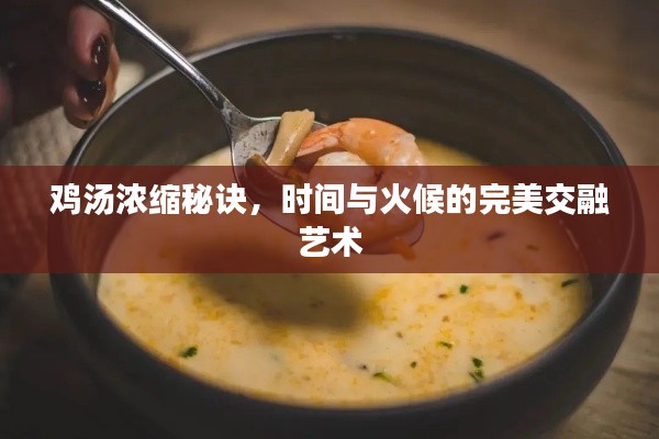 雞湯濃縮秘訣，時(shí)間與火候的完美交融藝術(shù)