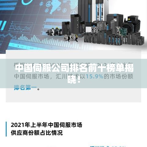 中國伺服公司排名前十榜單揭曉！