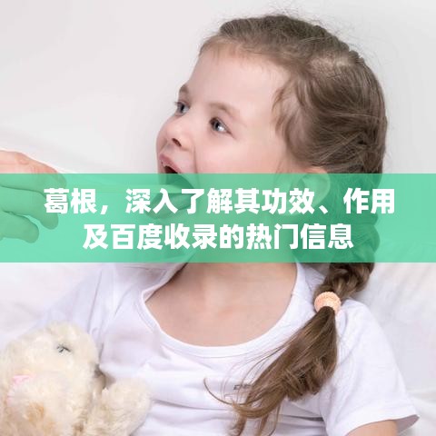 葛根，深入了解其功效、作用及百度收錄的熱門信息