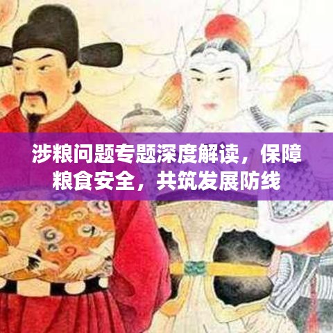 涉糧問題專題深度解讀，保障糧食安全，共筑發(fā)展防線