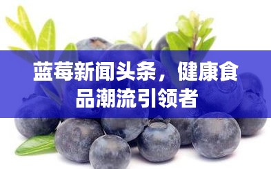 藍(lán)莓新聞?lì)^條，健康食品潮流引領(lǐng)者