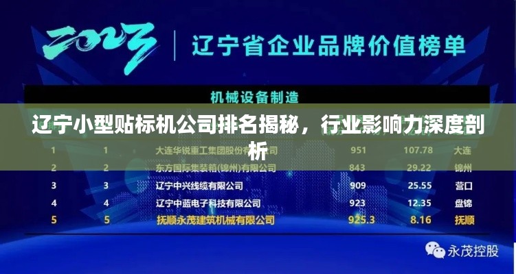 遼寧小型貼標機公司排名揭秘，行業(yè)影響力深度剖析