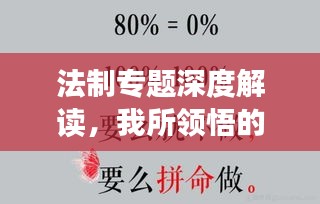 法制專題深度解讀，我所領(lǐng)悟的心得體會(huì)