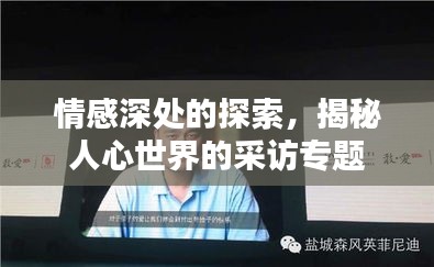 情感深處的探索，揭秘人心世界的采訪專題