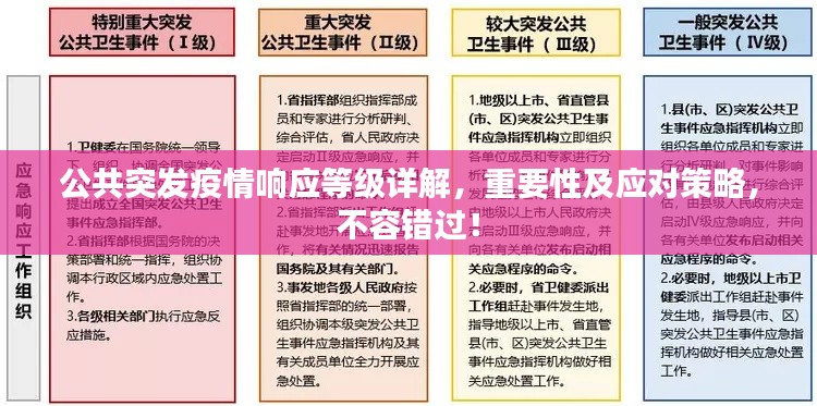 公共突發(fā)疫情響應(yīng)等級詳解，重要性及應(yīng)對策略，不容錯過！