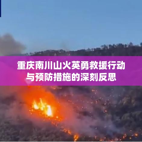 重慶南川山火英勇救援行動(dòng)與預(yù)防措施的深刻反思