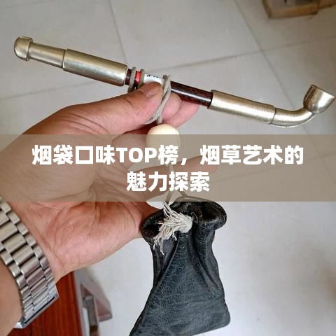 煙袋口味TOP榜，煙草藝術(shù)的魅力探索
