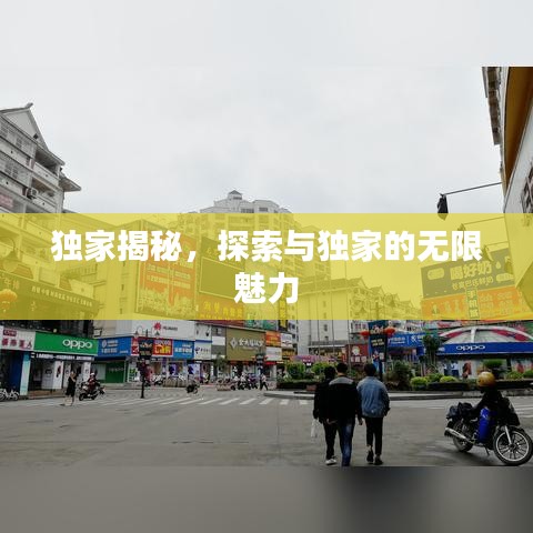 獨家揭秘，探索與獨家的無限魅力