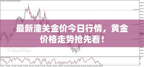 最新潼關金價今日行情，黃金價格走勢搶先看！