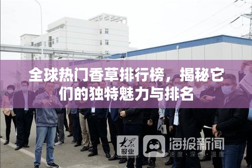 全球熱門香草排行榜，揭秘它們的獨(dú)特魅力與排名
