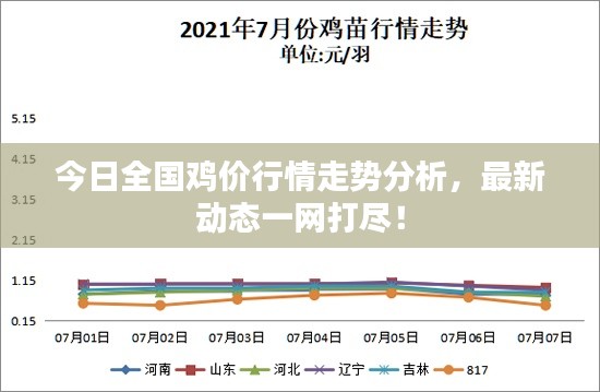 今日全國雞價行情走勢分析，最新動態(tài)一網打盡！