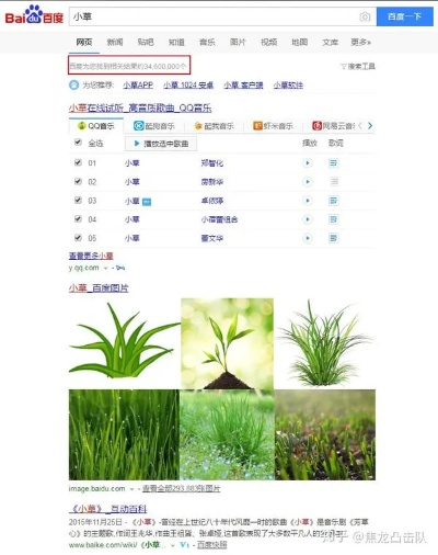 小草掛官方下載,穩(wěn)定計(jì)劃評估&amp;網(wǎng)頁款_v10.130