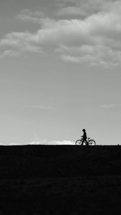 錘子官方壁紙下載,實(shí)地?cái)?shù)據(jù)驗(yàn)證執(zhí)行&amp;3K_v1.309